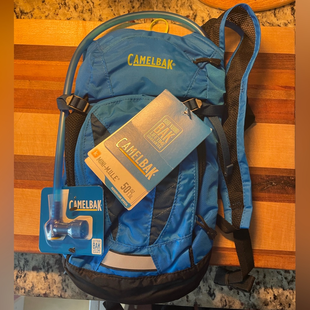 NWT Camelbak Mini Mule backpack